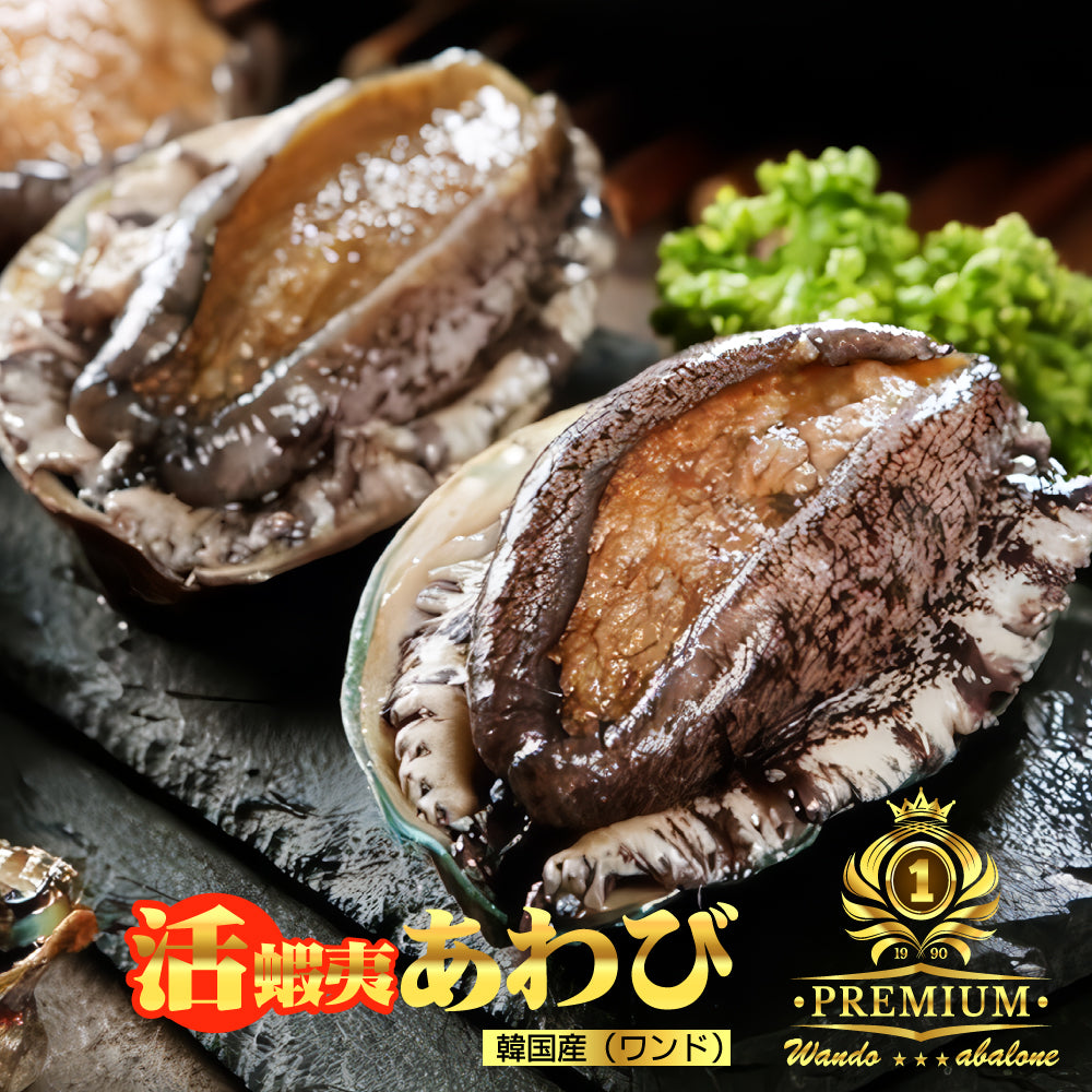 活あわび(90~100gサイズ) 10個 【冷蔵】 アワビ 鮑 バーベキュー 刺身