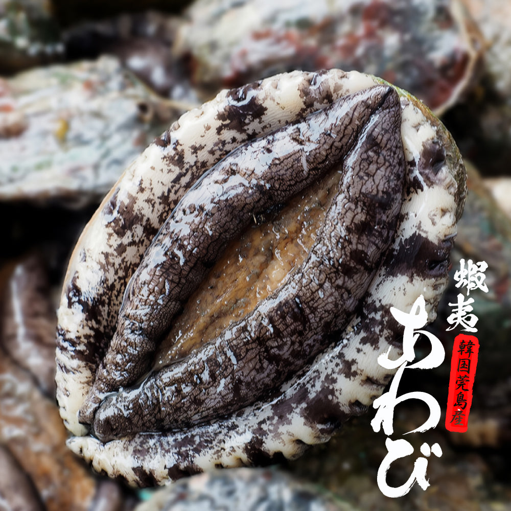 活あわび(70~80gサイズ) 20個 【冷蔵】 アワビ 鮑 バーベキュー 刺身