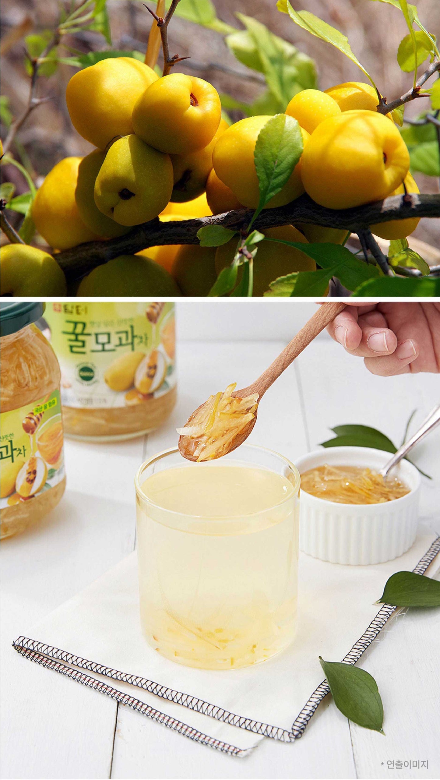 【ダムト】蜂蜜入り(もが)かりん茶 お茶 ダムト はちみつ かりん モガ もが モグァ 韓国食品 韓国食品 韓国食材 韓国 韓国飲み物 韓国飲料 韓国飲み料 韓国ジュース 韓国ドリンク 韓国ソフトドリンク 韓国お土産 かりん茶 もぐぁ飲み物