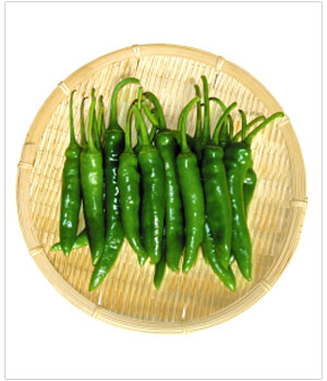 【韓国野菜】青唐辛子200g〔クール便対象商品〕